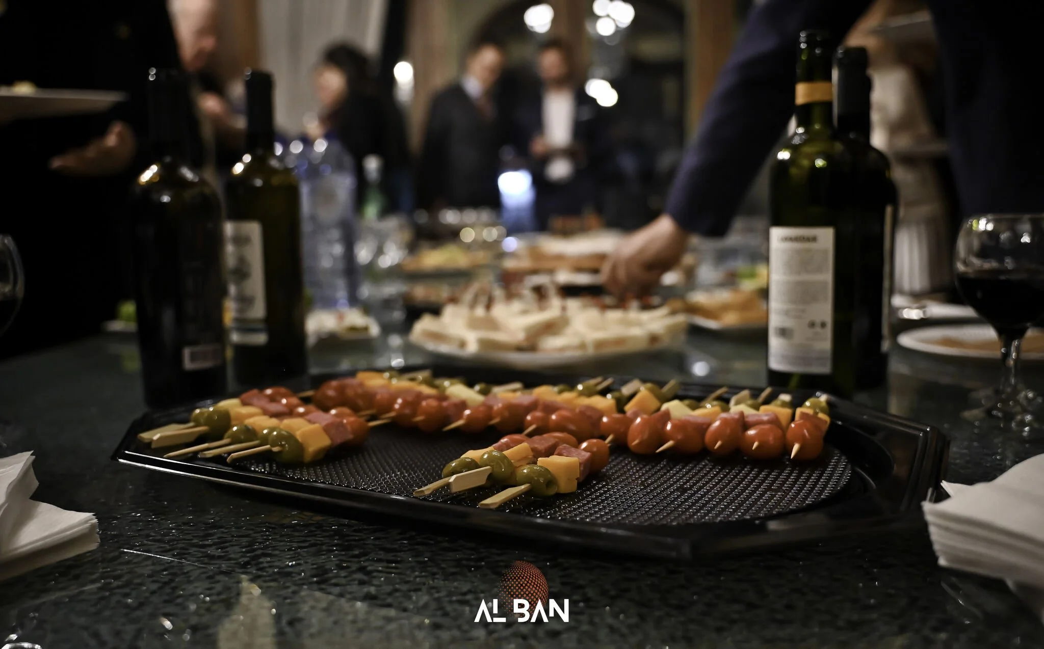 EU-Albania Summit panel discussion